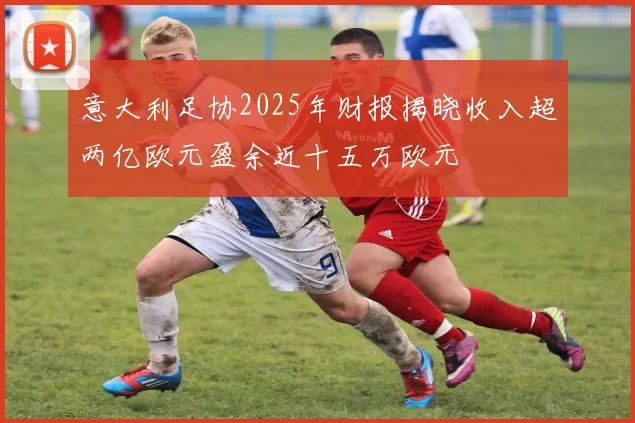 意大利足协2025年财报揭晓收入超两亿欧元盈余近十五万欧元